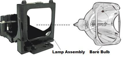 Lamp Assembly and Bare Bulb