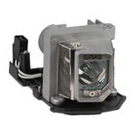 3DS1 Optoma Lamp